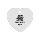 American Longhair Cat Lover Gifts for Friends, Family, or Coworkers - Heart Ornament with Funny Quote - Image 1